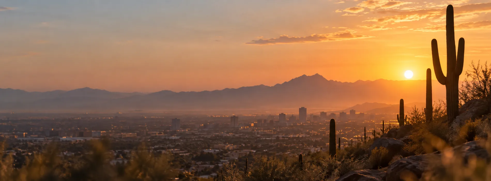 A saguaro cactus on a hillside above a low city and mountains at sunset