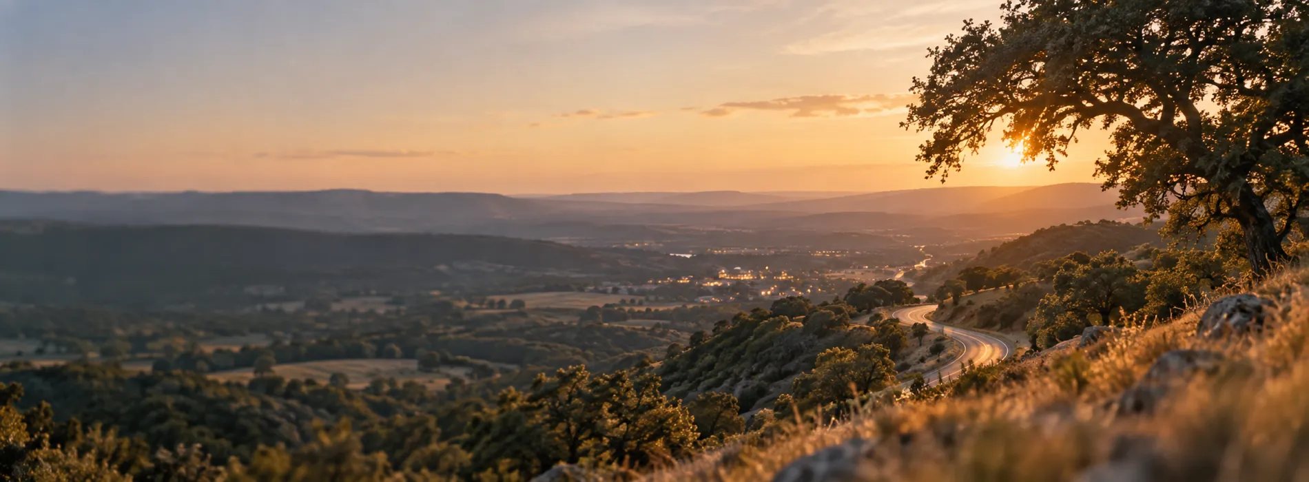 Rolling hills with an oak tree and a winding road at golden hour