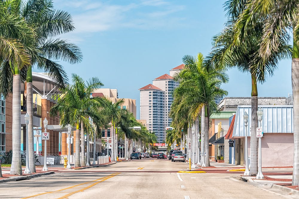 Palm-lined street in a sunny tropical downtown with tall buildings in the distance.