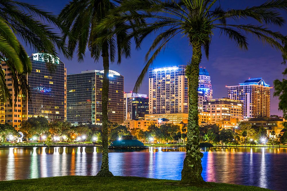 Nighttime city skyline across a calm river, framed by two palm trees in the foreground.