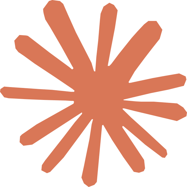 Orange starburst/radial burst symbol on a teal background, abstract and energetic in style.