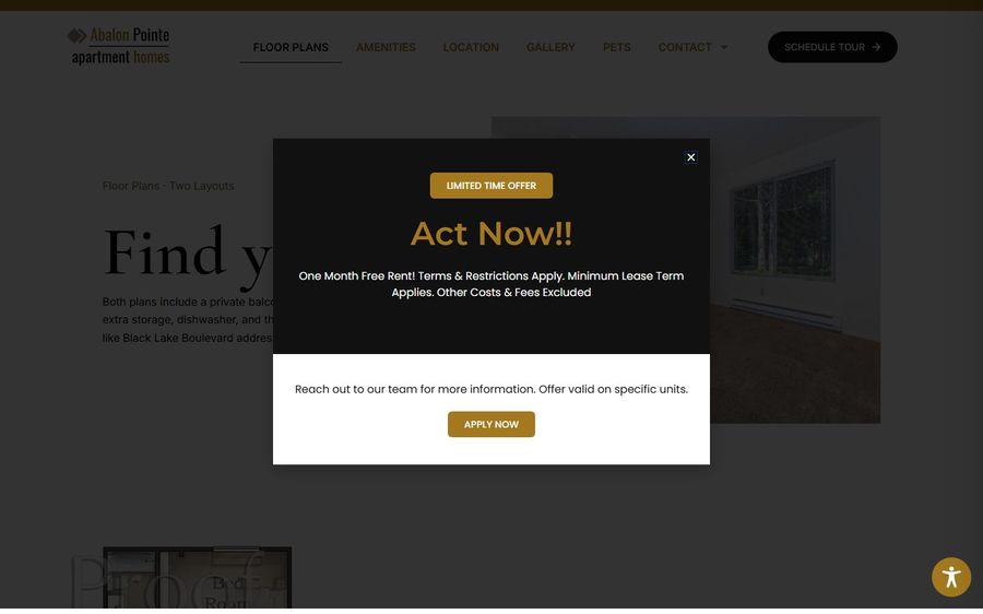 Dark promotional modal over a webpage with 'Act Now!!' and 'Limited Time Offer' heading, buttons say 'APPLY NOW' and a close icon in the corner. Background page blurred with dim overlay.
